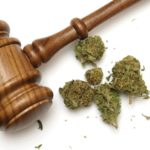 Marijuana Legalization: What does it mean?